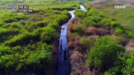 이것이 야생이다 2 - 12부- 야생 일기 200일의 여정_#002