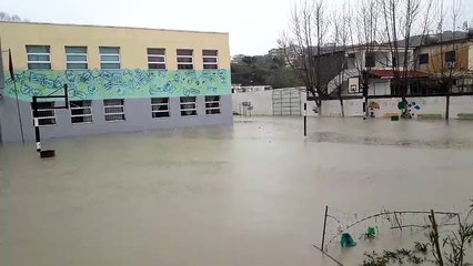 Permbytja ne shkollen ne Durres