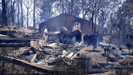 Download Video: Buschfeuer zerstören zahlreiche Häuser in Australien