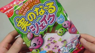 포핀쿠킨 미노나루 셰이크 만들기 요리놀이 가루쿡 일본 식완 소꿉놀이 과자 장난감 Popin Cookin Cooking Toy Kit Minonaru Shake