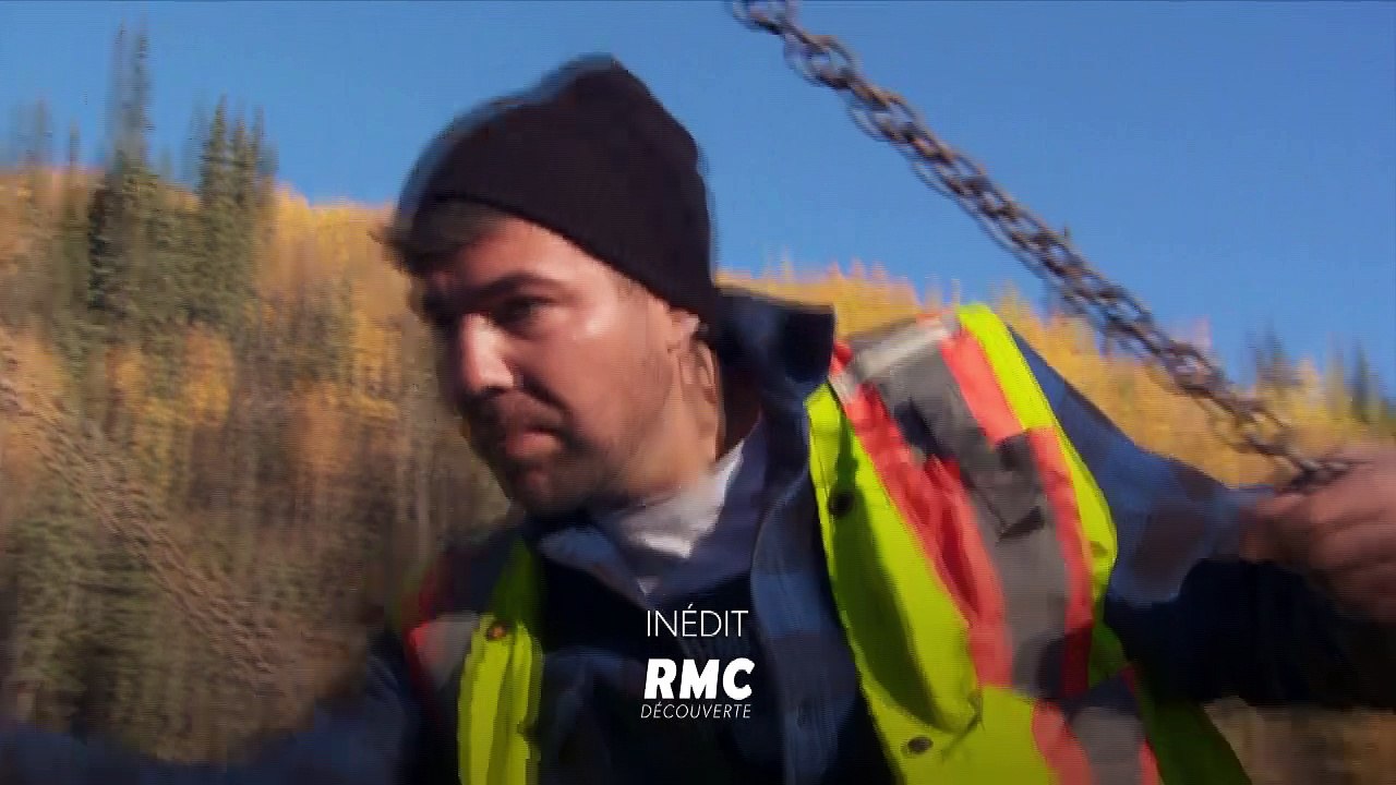 Yukon Gold : leçons amères