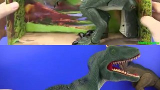 Dinosaurs Jurassic World & Dinosaur Toys VELOCIRAPTOR VS TYRANNOSAURUS REX !!! Toys for kids