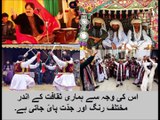 5th class social studies, 61, diversity of Pakistani culture,  ثقافتی تنوع
