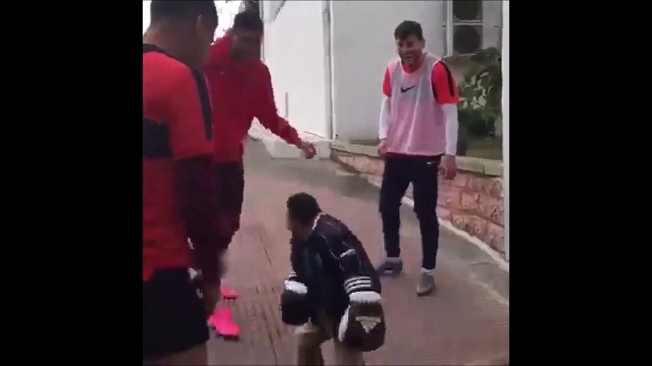 Petit mais costaud !