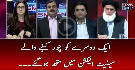 Aik Dosray Ko Chor Kehnay Waly #Senate Main Mutahed Hogaye