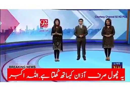 Allah Ki Shaan Yeh nai Dekha To Kuch Nai dekha-Ek baar Zaroor Dekhain Must Watch