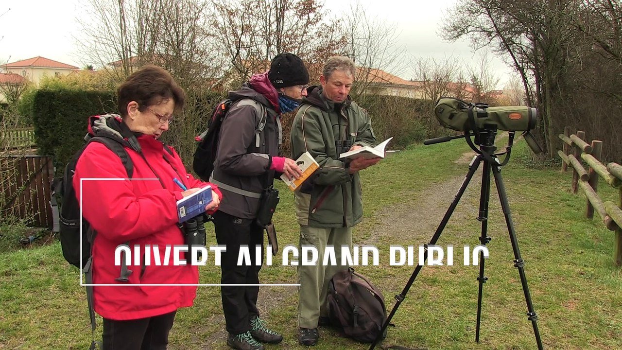 Reportage - Reportage