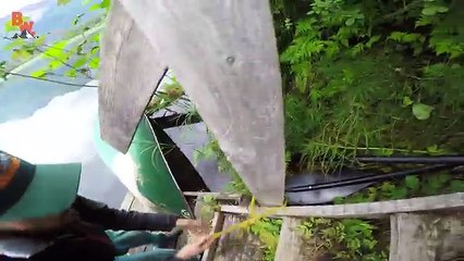 Wild Moose Encounter!