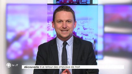 DÉCOUVERTE/ Le retour des chevaux de trait - 19/03/2018