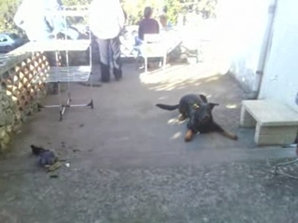 Video056