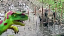 Dino Marino conoce a animales en libertad | Vídeos de dinosaurios de juguete para niños