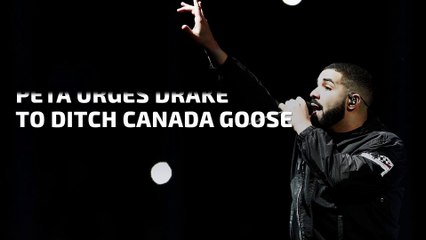 PETA Urges Drake to Ditch Canada Goose