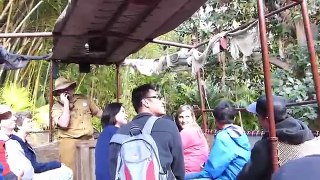 The BEST Skipper on the Jungle Cruise Ride - So Funny! Disneyland (Full Ride) POV