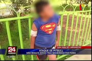 Perro pitbull deja severamente herido a niño en San Juan de Lurigancho