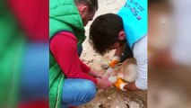 Başı boruya sıkışan köpeği şantiye çalışanları kurtardı - KOCAELİ