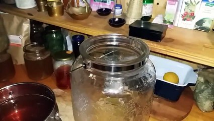 3-4 Jak zrobic kombuche na miodzie