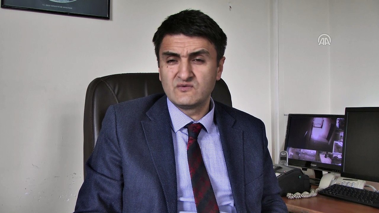 Kaybolmaya yüz tutan 'Zavot sığırı' devlet desteğiyle korunuyor - ARDAHAN