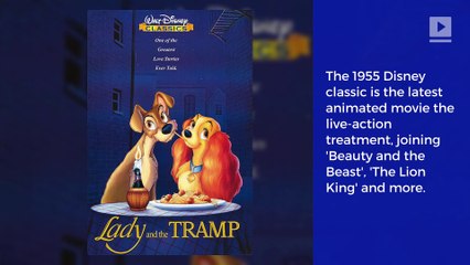 'Lady and the Tramp' to Get Live-Action Remake