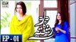 Dard Ka Rishta Episode 1 - 19th March 2018 - ARY Digital Drama