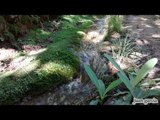 musica relajante con sonidos de agua - relaxing music with sounds of water -