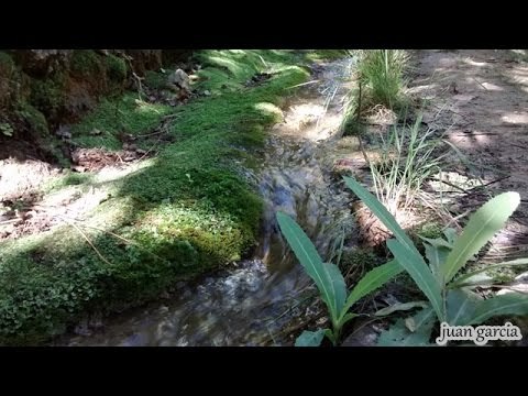 musica relajante con sonidos de agua - relaxing music with sounds of water -