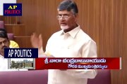 పవన్ కళ్యాణ్ కి ఏమి తెలుసు Chandrababu comments on pawan kalyan -AP Politics