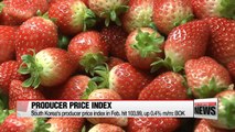 South Korea's producer prices go up in February