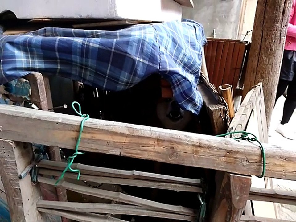 Chinesische Küche mit 2 Hunden