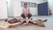 Leopard Skin Smuggling: Custom Officials nab smuggler RED HANDED carrying leopard skin Oneindia News