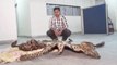 Leopard Skin Smuggling: Custom Officials nab smuggler RED HANDED carrying leopard skin Oneindia News