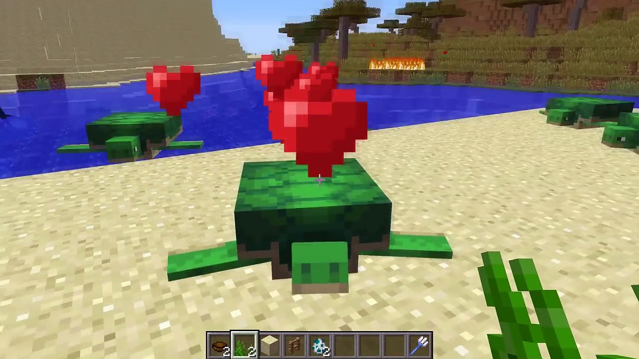 LE SAVIEZ VOUS ? 10 SECRETS SUR LES TORTUES MINECRAFT