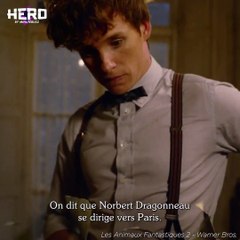 Le premier trailer des Animaux Fantastiques 2 est juste fou ! 