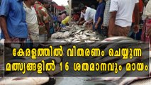 കേരളത്തിൽ വിതരണം ചെയ്യുന്ന മത്സ്യങ്ങളിൽ 16 ശതമാനവും മായം | Oneindia Malayalam