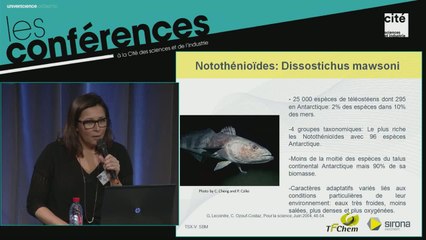 Les poissons des mers polaires