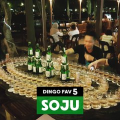 [DINGO FAV 5]SUPER KOREAN THINGS TO DO WITH SOJU