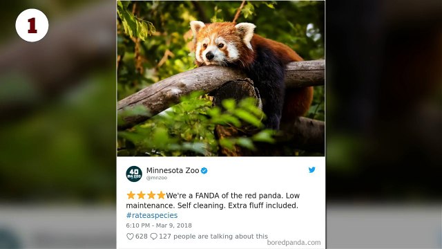 Zoos Are Posting Hilarious Amazon Like Reviews Of Their Animals, And We Can’t Get Enough