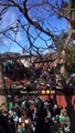 Drame, le toit d'une maison s'effondre sous le poids des étudiants rassemblés dessus !