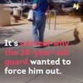 A security guard pulled a 66-year-old man from his walker and pushed him outside.
