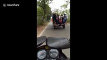 Tractor carrying 25 passengers topples over in dangerous overtake