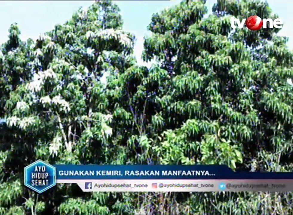 Kemiri Bisa Cegah Stroke?