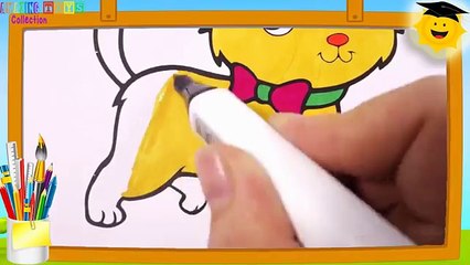 Como Dibujar y Colorear Un Gato de Arco Iris - Videos Para Niños