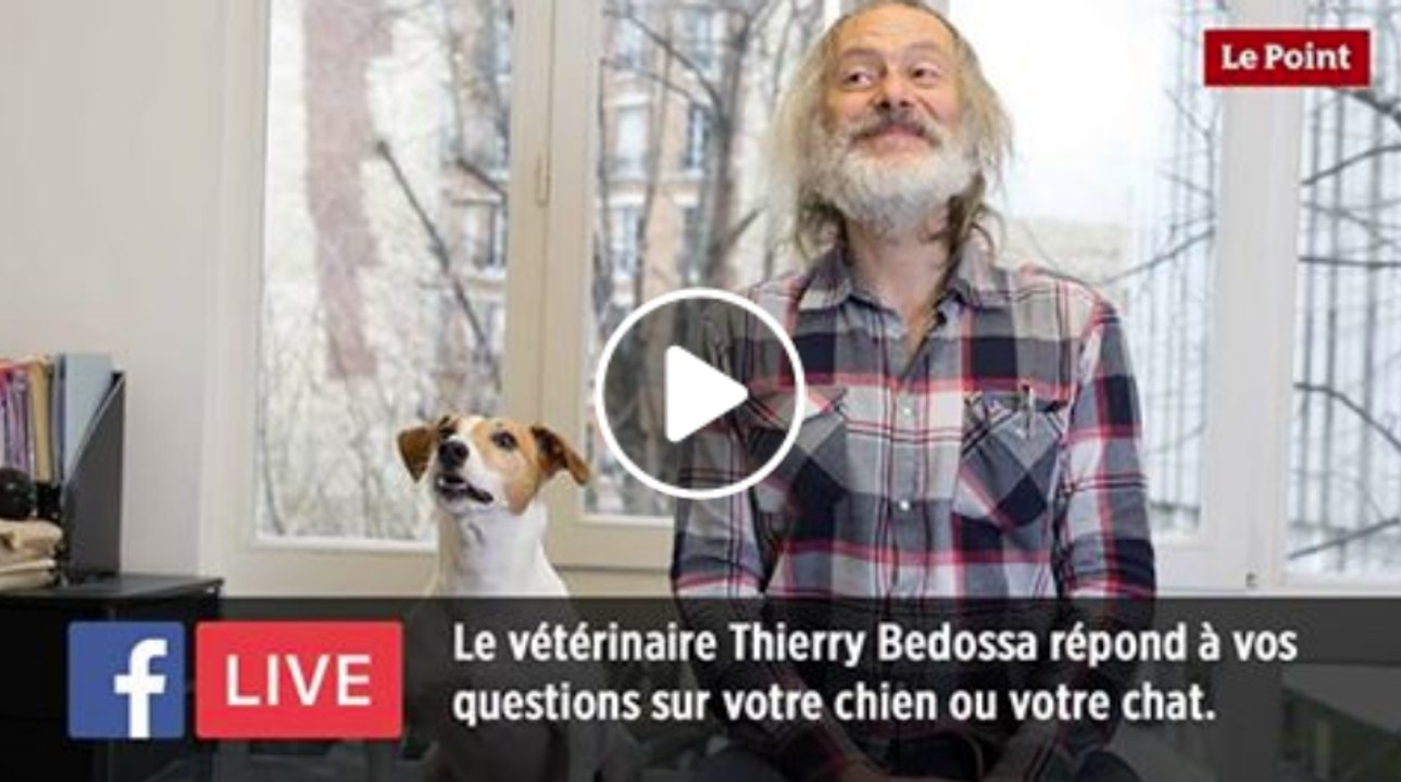 Facebook Live : le vétérinaire Thierry Bedossa répond à toutes vos questions concernant votre chien ou votre chat !
