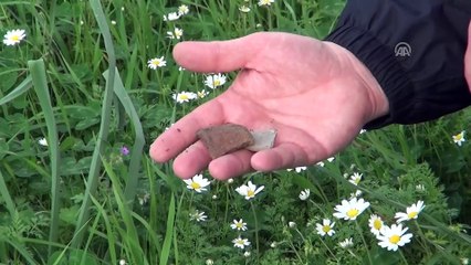 Şehit Prof. Dr. İlhan Varank Kampüsü'ndeki arkeolojik sit alanı - MANİSA