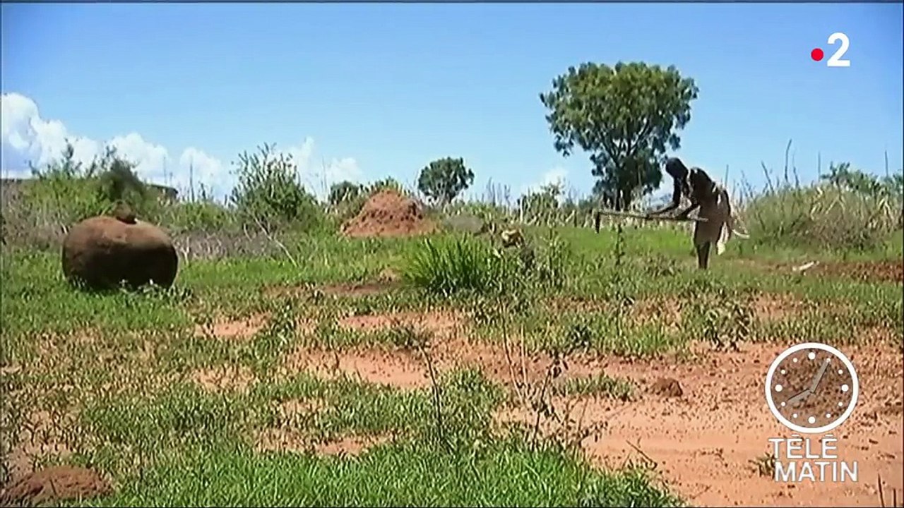 Réfugiés climatiques : la Banque mondiale tire la sonnette d'alarme