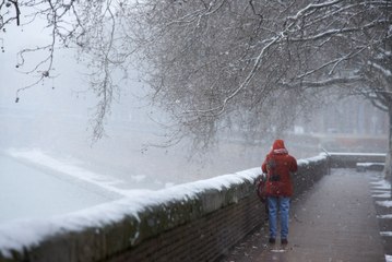 C'est le printemps le plus froid depuis bien longtemps !