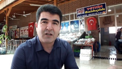 4 metrelik köpek balığı yakalandı - MERSİN