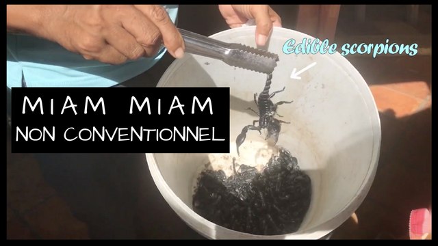 Miam-Miam non conventionnel: ce que vous n'osez pas manger