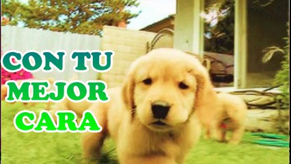 EMPIEZA UN NUEVO DIA FELIZ MARTES