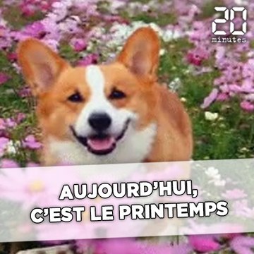 Aujourd'hui, c'est le printemps!