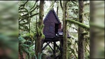 Man Charged After 'Gingerbread Treehouse' Full of Child Porn Found in Woods